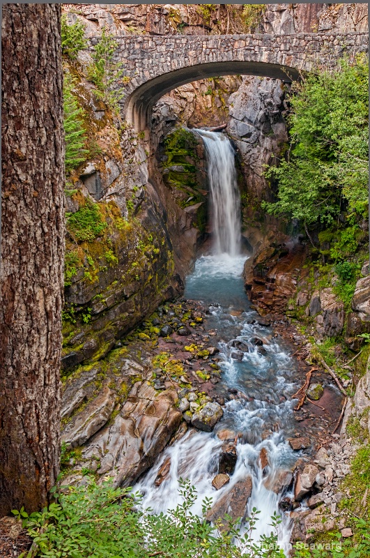 Christine Falls