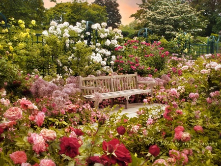 Rose Garden Respite