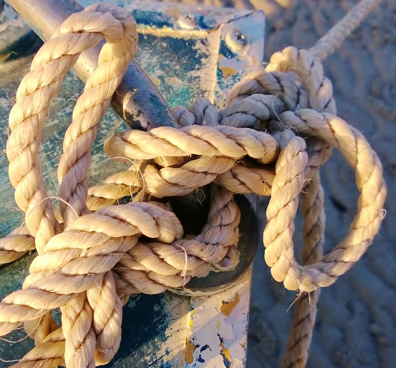 Knots