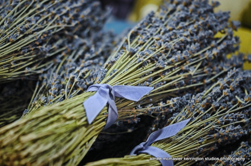 lavender bunches ll