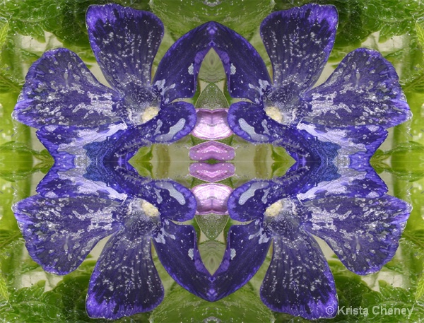 Creeping myrtle in ice - kaleidoscopic - ID: 14408034 © Krista Cheney