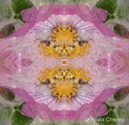 Cosmo in ice II - kaleidoscopic - ID: 14408043 © Krista Cheney