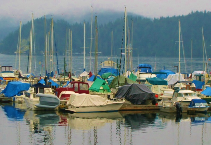 Boats in the mist rev