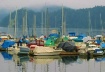 Boats in the mist...