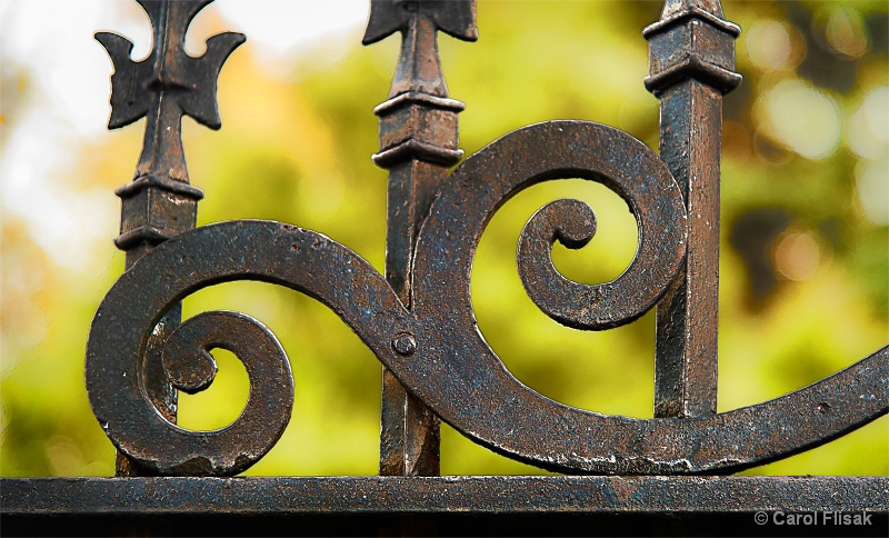 Wrought Iron Scrollwork - ID: 14408543 © Carol Flisak