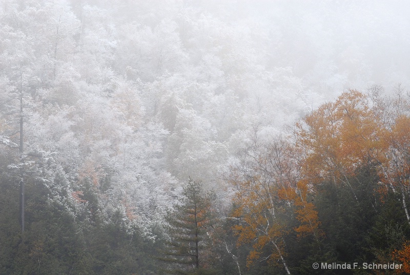 Snow in the Mountains