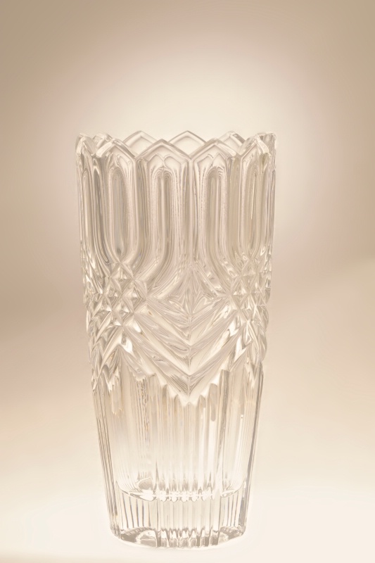 Champagne Vase Diffused