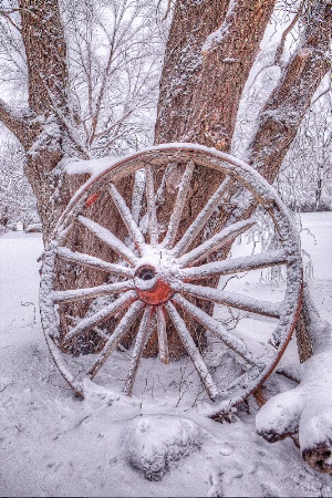 Snowbound