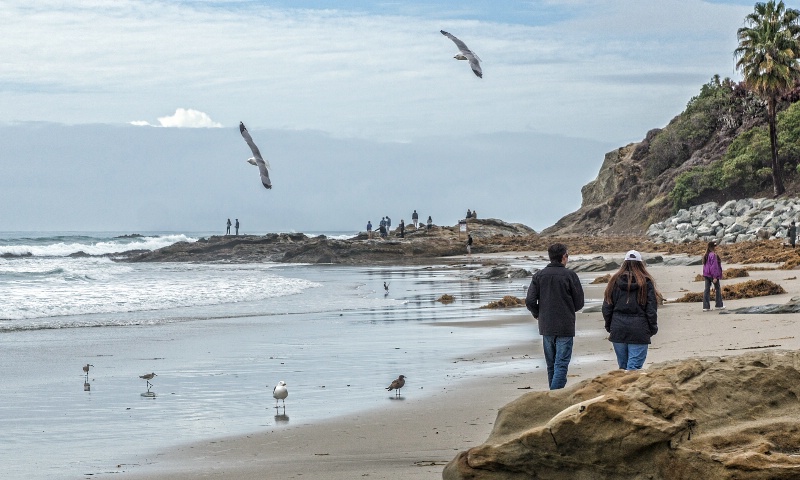 Spring day in California