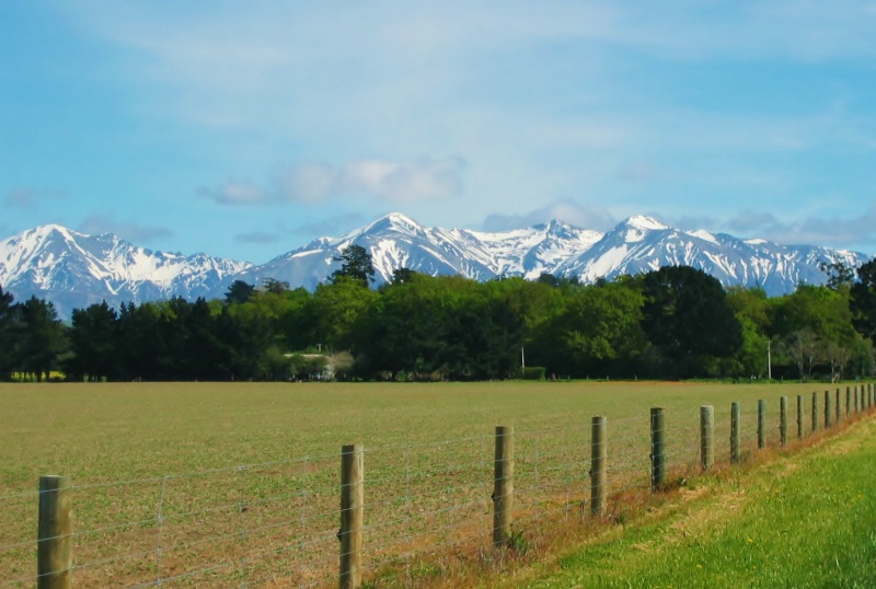 New Zealand Mountains