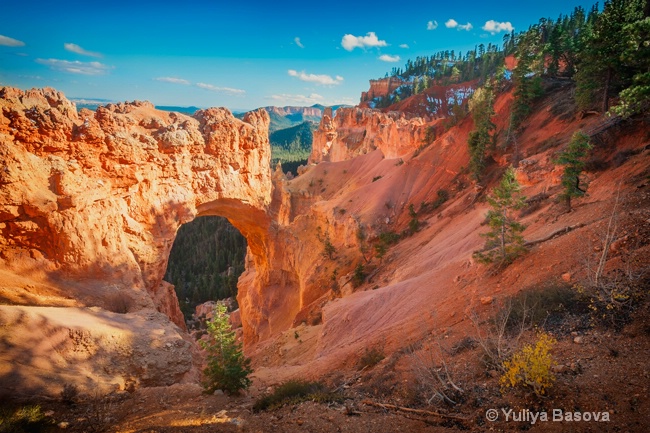 Natural Bridge, Bryce Canyon National Park, Utah. - ID: 14416922 © Yulia Basova