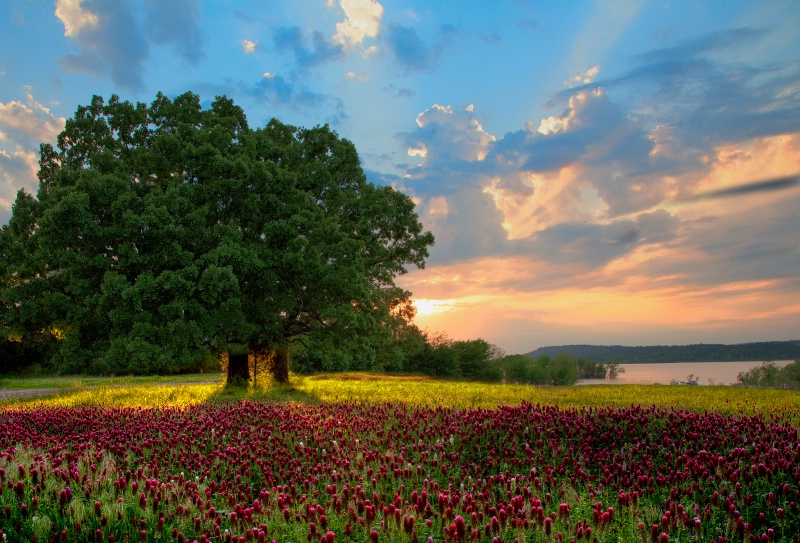 Spring in Oklahoma