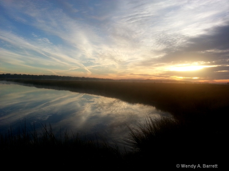 Marsh Morning Glory - ID: 14418075 © Wendy A. Barrett