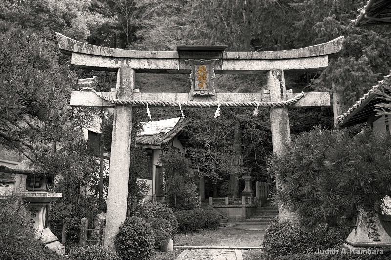 Kitashirakawa torii