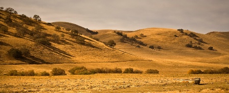 California hills 