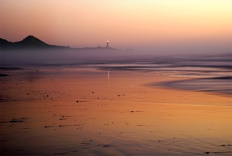 Coppery Tones At Yaquina Head