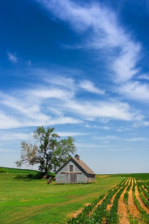 Nebraska Countryside