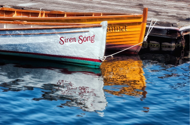 Siren Song