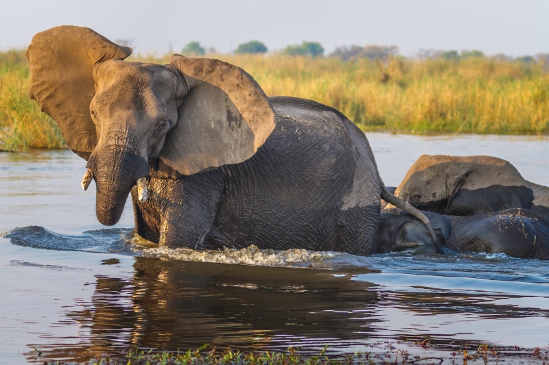 River Crossing