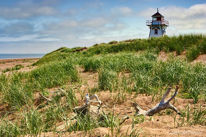 Covehead Harbour #3