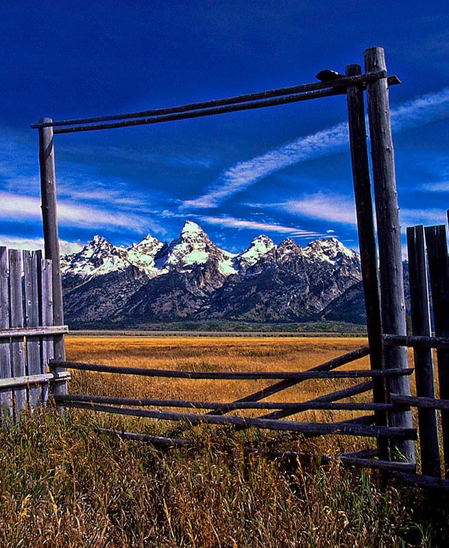 Teton Framed