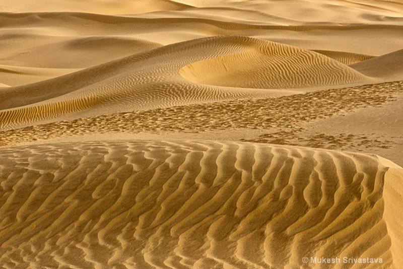 Sand Dunes-1