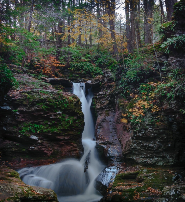 Water fall at Ricketts Glen State Park