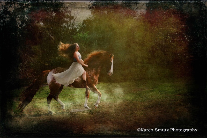 Equine Muse