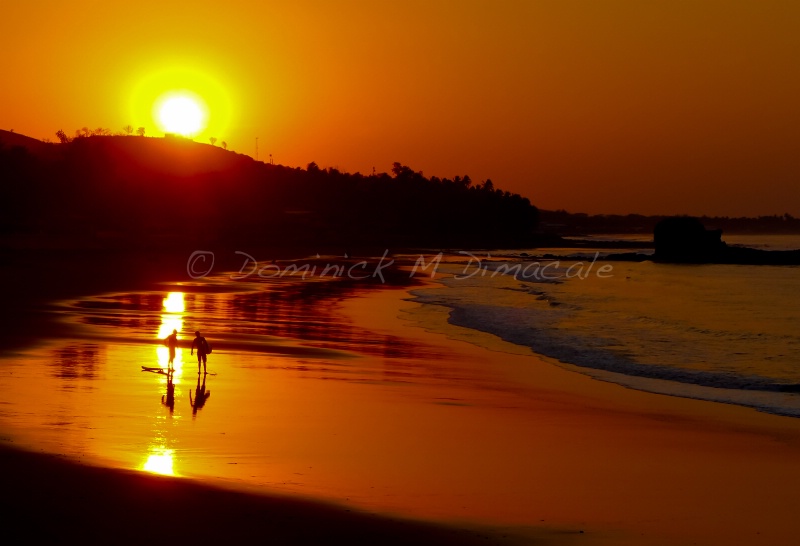 ~ ~ SURFERS AT THE BEACH ~ ~