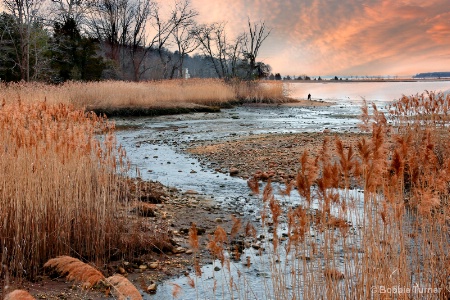 Cold Spring Harbor at sunset
