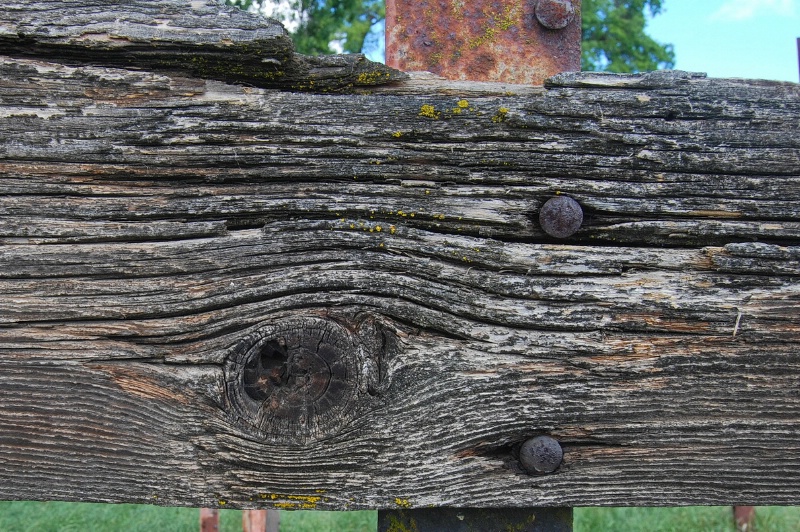 Cattle Shoot Detail