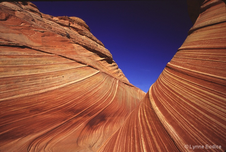 The Wave, Coyote Buttes North, UT