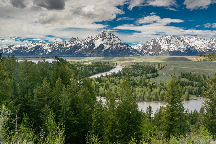 Spring In The Teton's