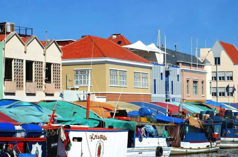 Colorful Curacao Fishing Market