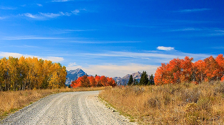 Sawtooth Fall Color