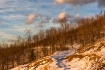 Early Sunset
