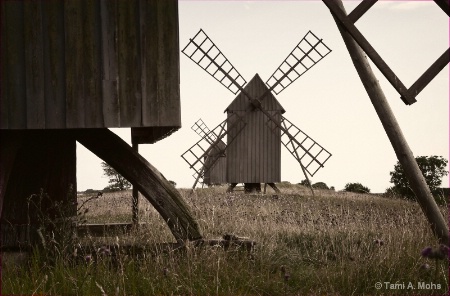 Wind Mills on Öland