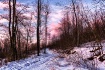 Sunset Road