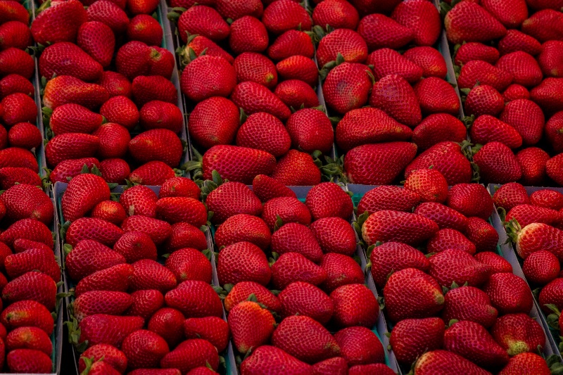 Lots and Lots of Strawberrys