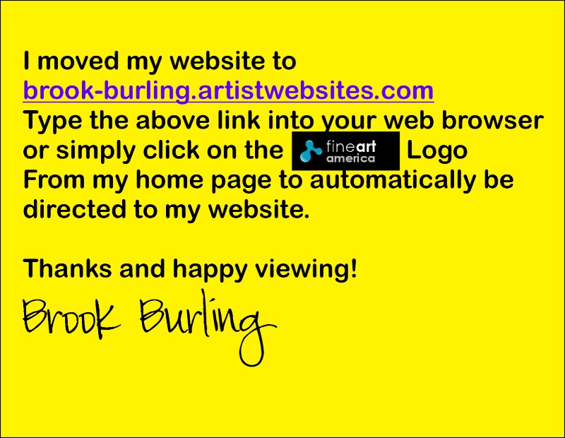 www.brook-burling.artistwebsite.com