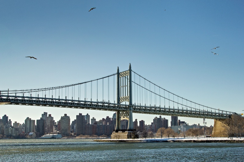 The 59th Street Bridge (NYC)