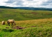 Dartmoor rev.