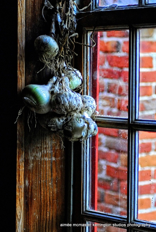 onions bunched