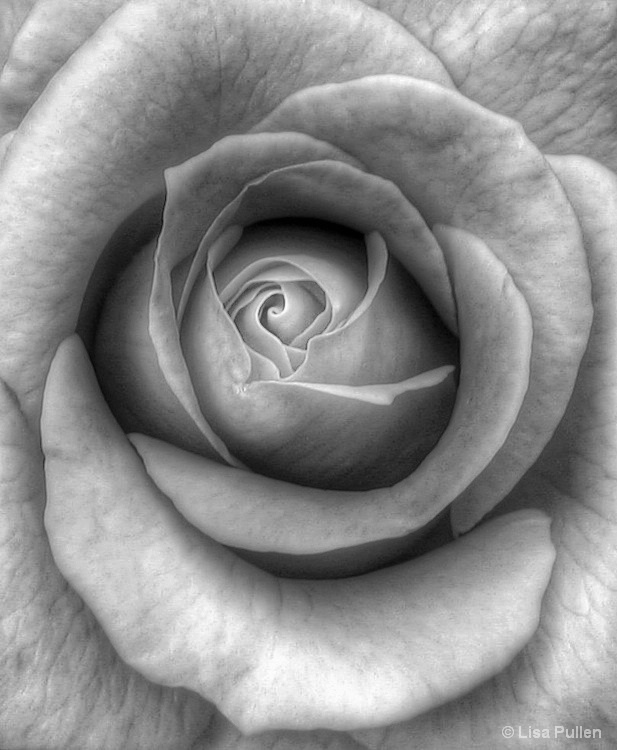 ...a delicate unfolding...