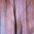 © Elliot Barnathan PhotoID# 14449026: Spring Swipe 1