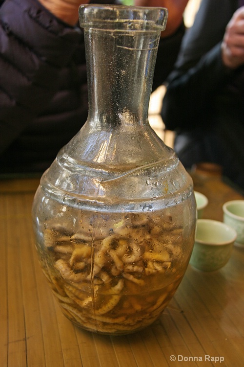 worm wine