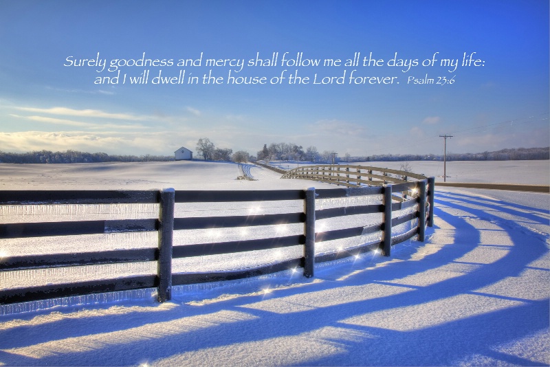 Icy Fence / Psalm 23:6
