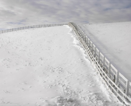 Fence in Winter
