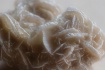 Desert Rose