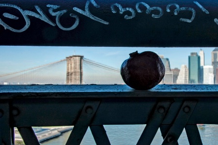 The Brooklyn from the Manhattan Bridge